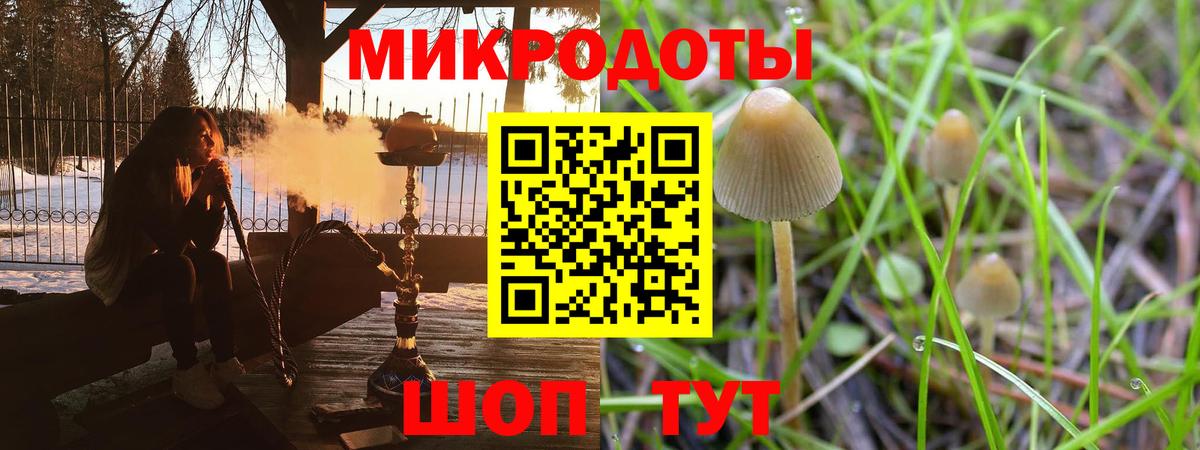 купить наркотики цена  Вход с VPN  Балтийск  Галлюциногенные грибы Magic Shrooms 